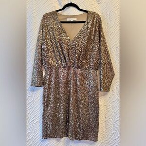 Sparkling Sequin Dress